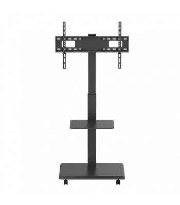NorStone Vision Plus